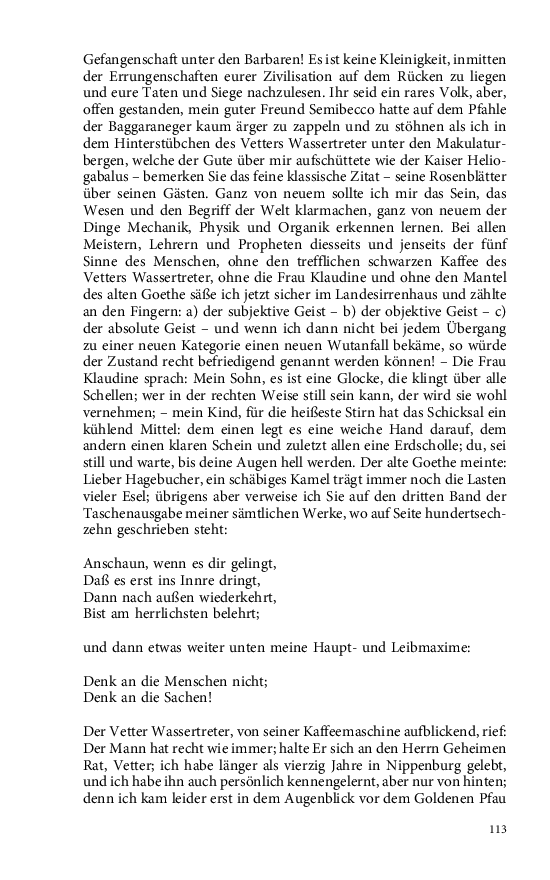 Seite 113
