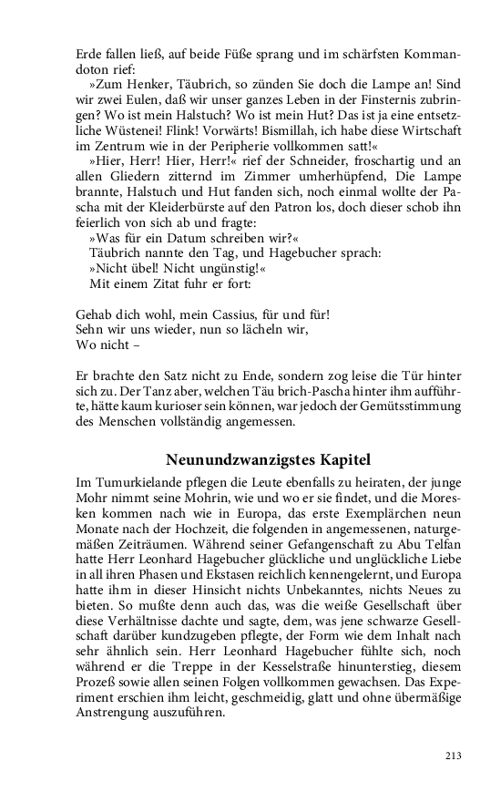 Seite 213