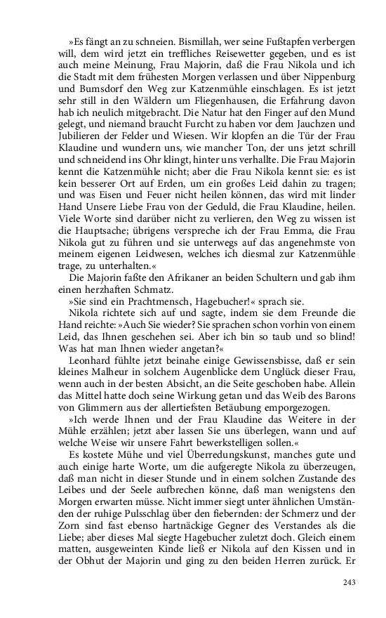 Seite 243