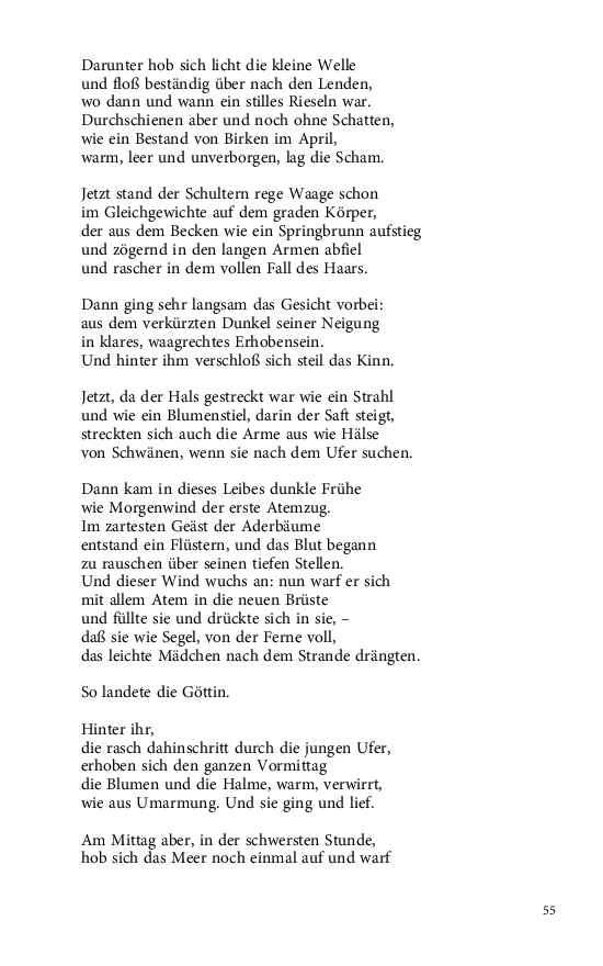 Seite 55