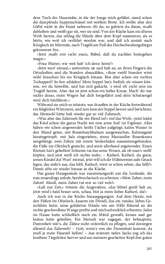 Seite 207