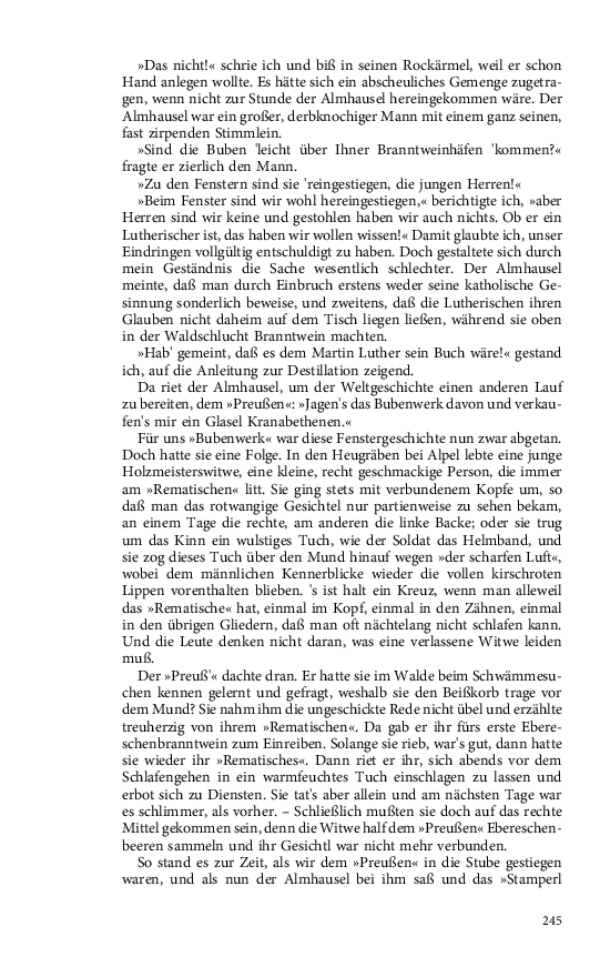 Seite 245