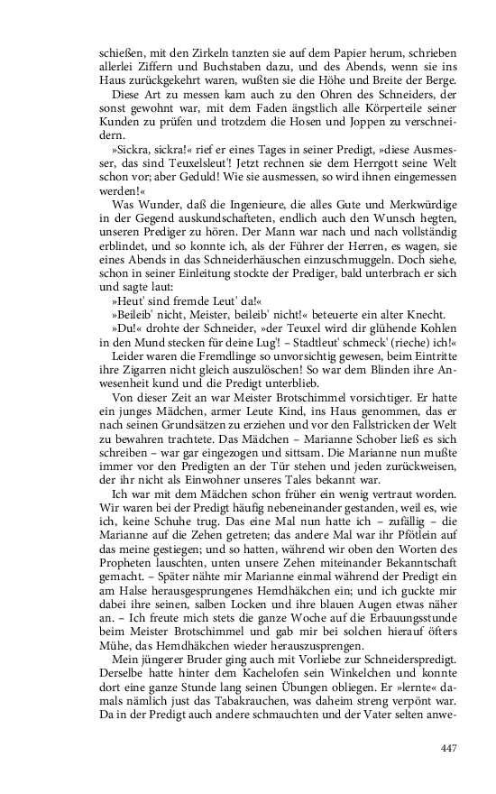 Seite 447