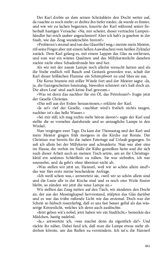 Seite 461