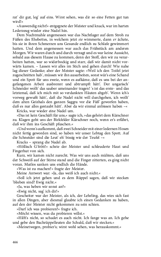 Seite 466