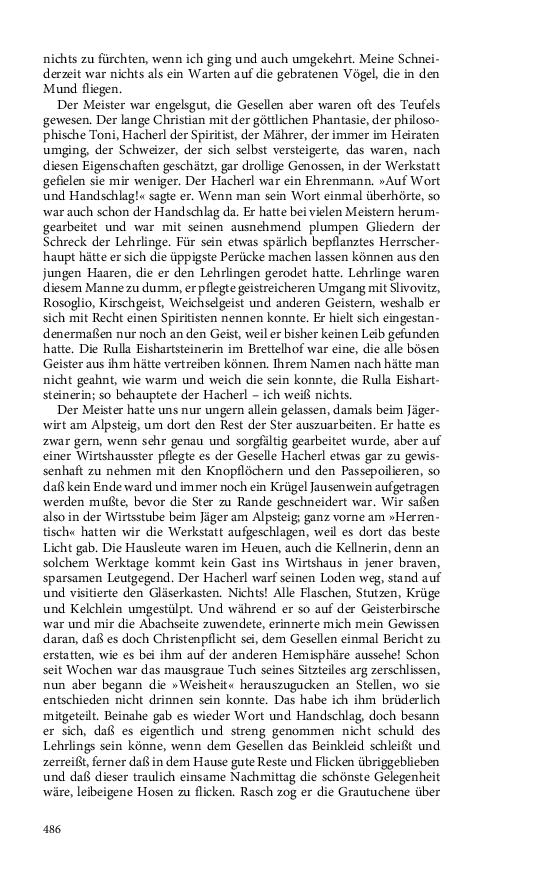Seite 486