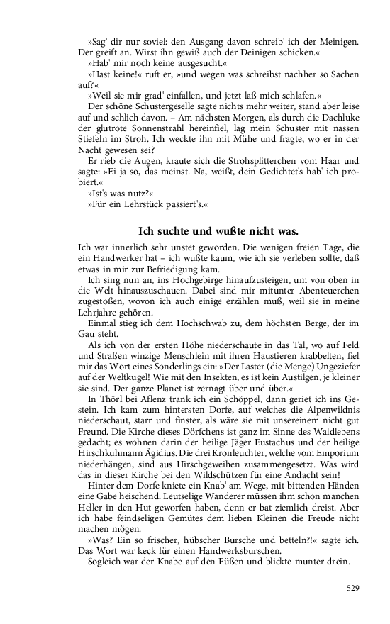 Seite 529