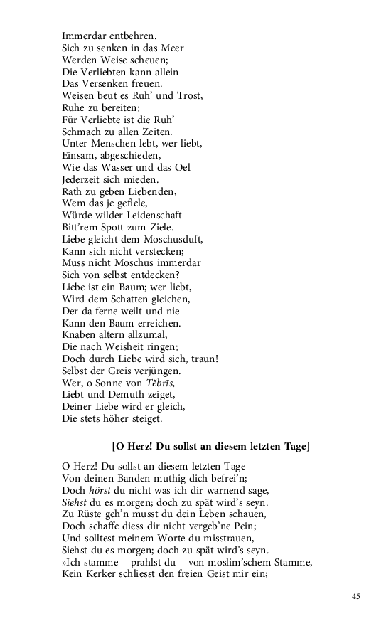 Seite 45