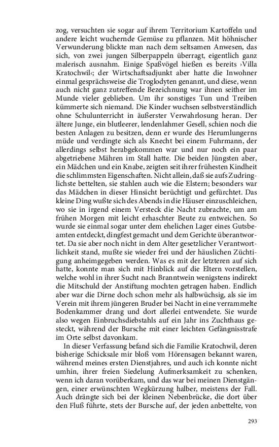 Seite 293