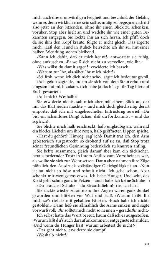 Seite 301
