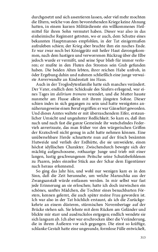 Seite 313
