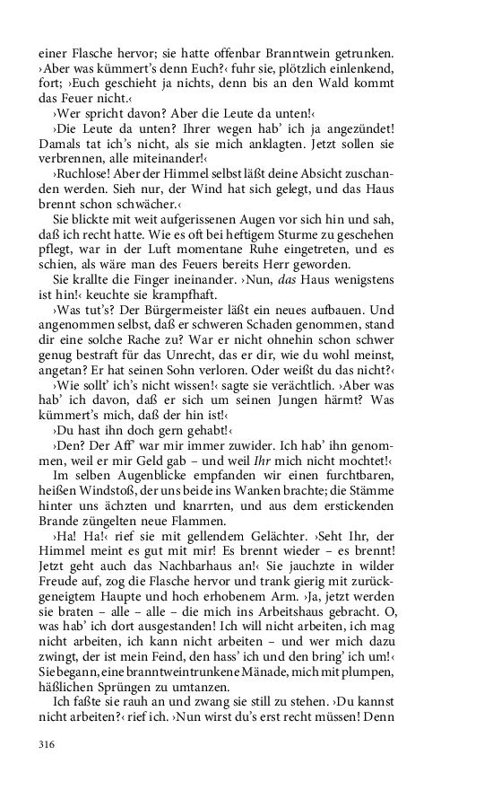 Seite 316