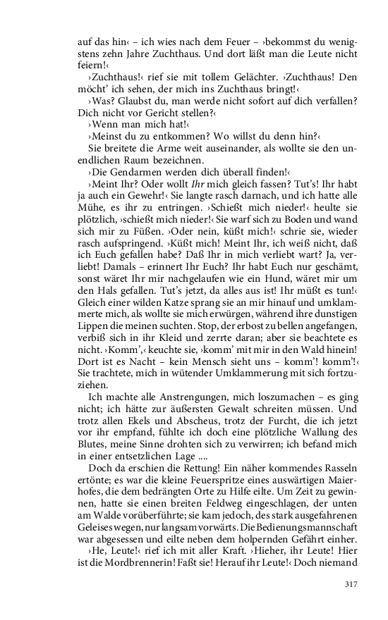 Seite 317