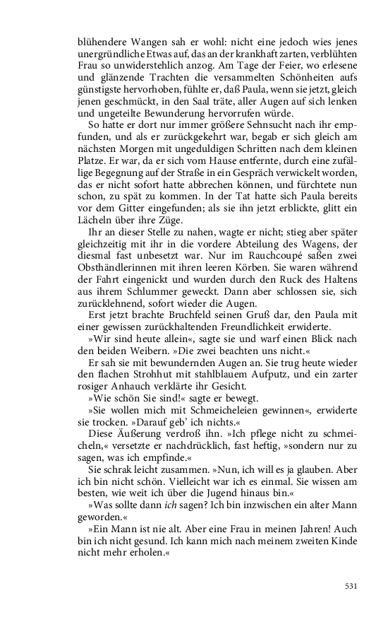 Seite 531