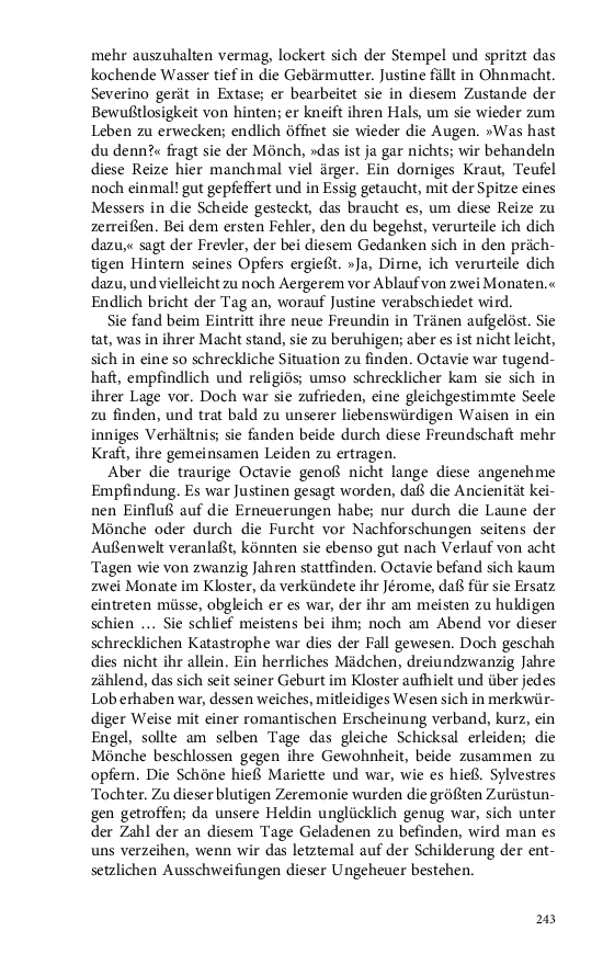 Seite 243