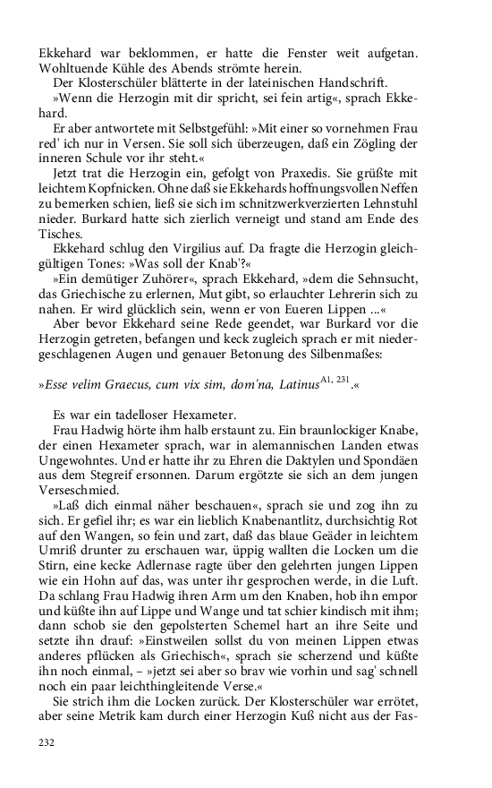 Seite 232