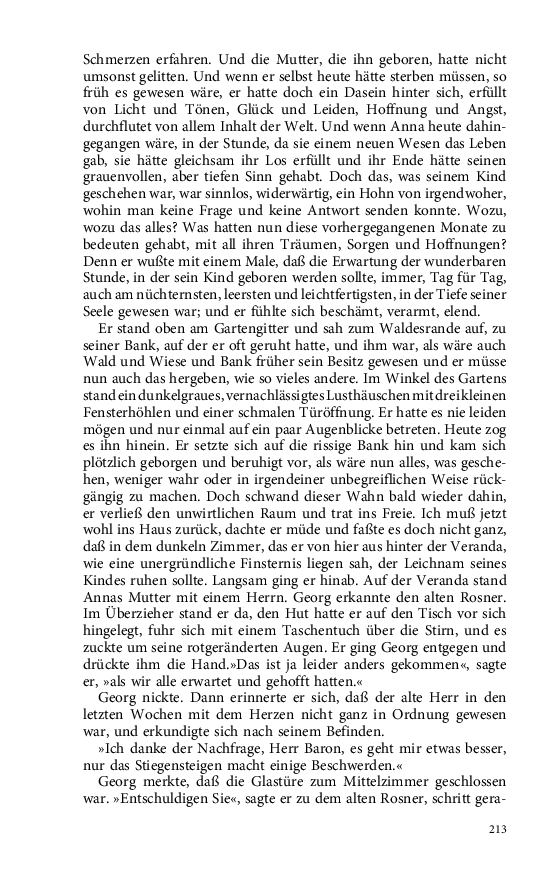 Seite 213