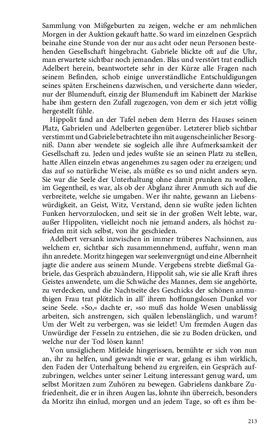 Seite 213