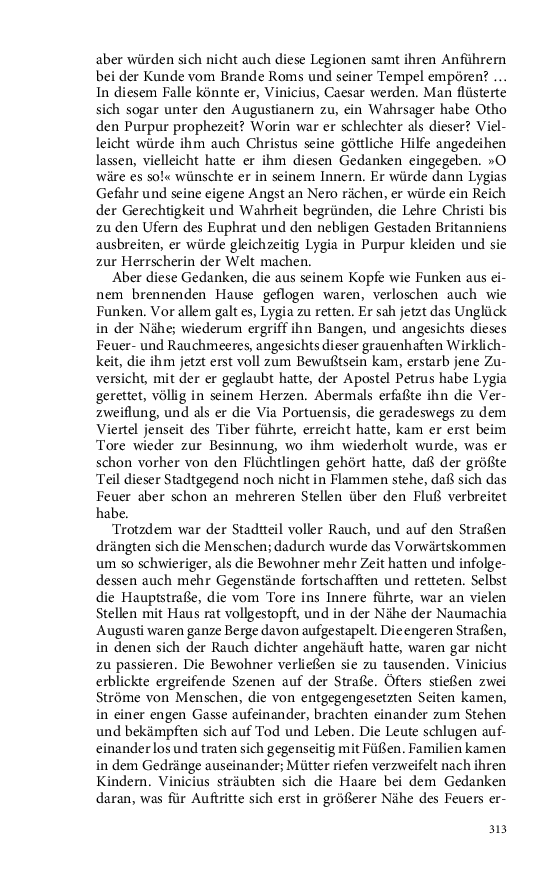Seite 313