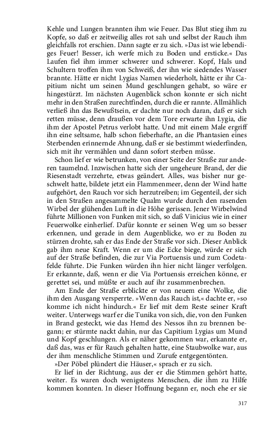 Seite 317