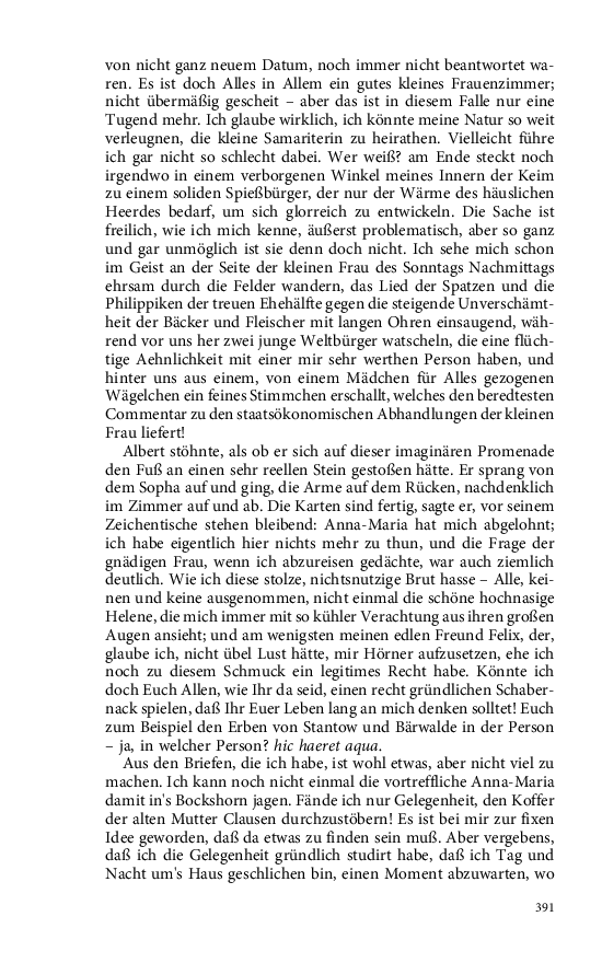 Seite 391