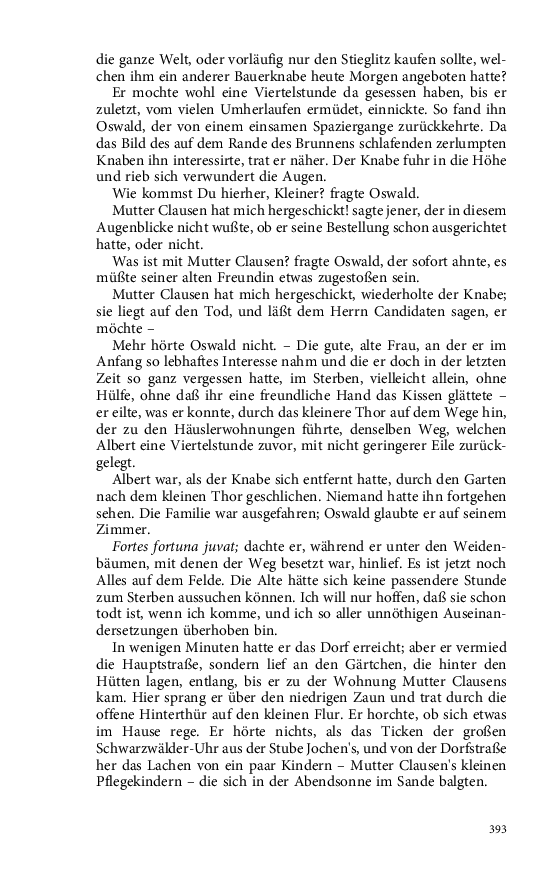 Seite 393