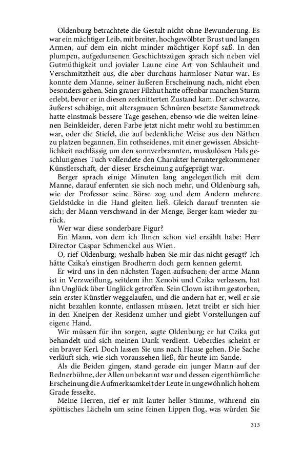 Seite 313