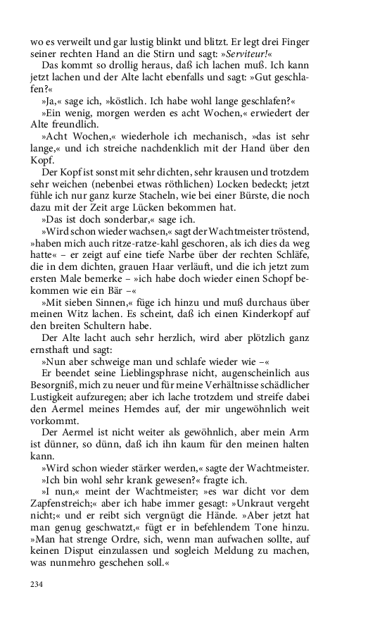 Seite 234