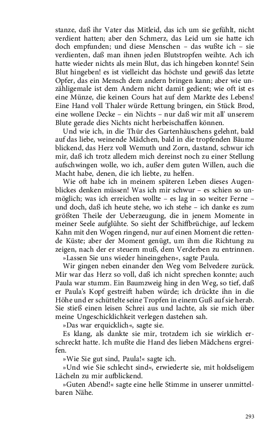 Seite 293