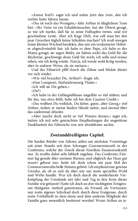 Seite 313
