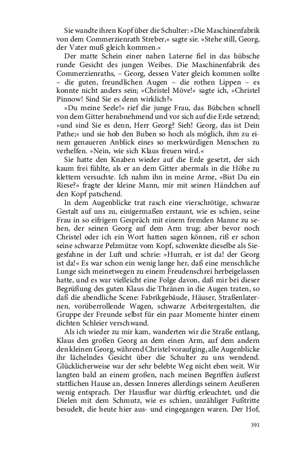 Seite 391