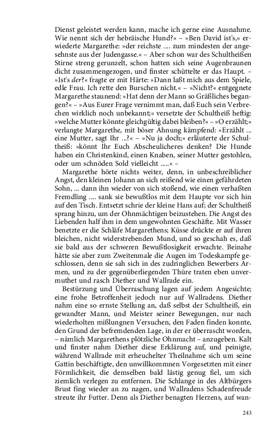 Seite 243