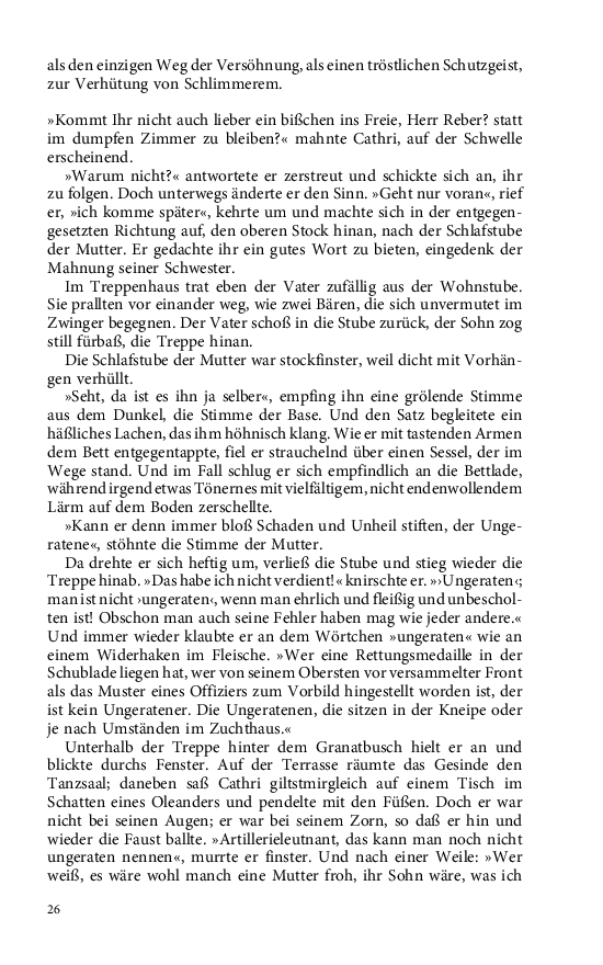 Seite 26