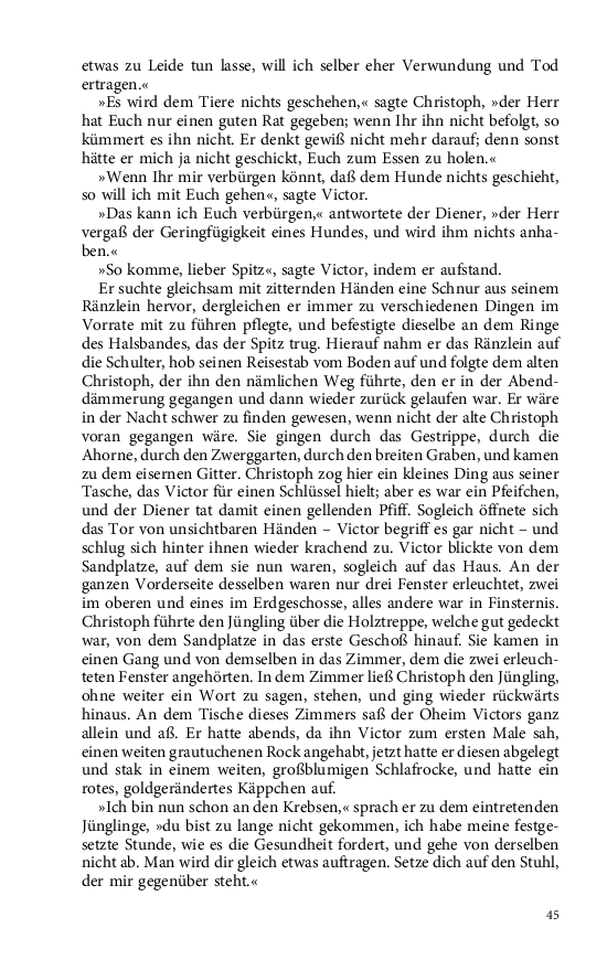Seite 45