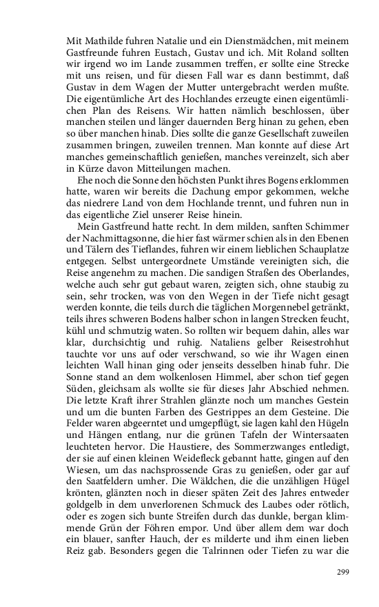 Seite 299