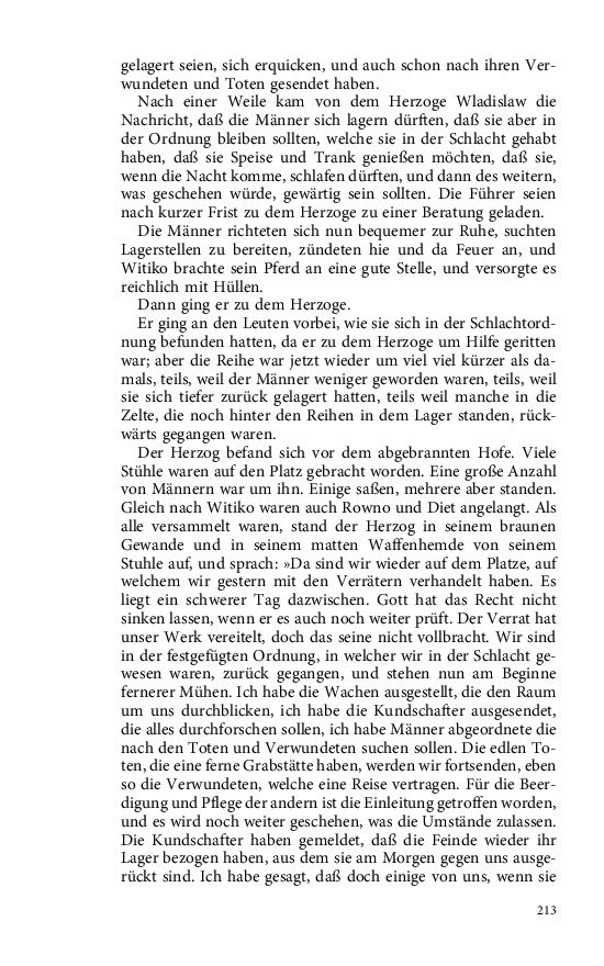Seite 213