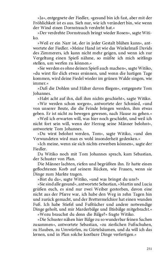 Seite 251