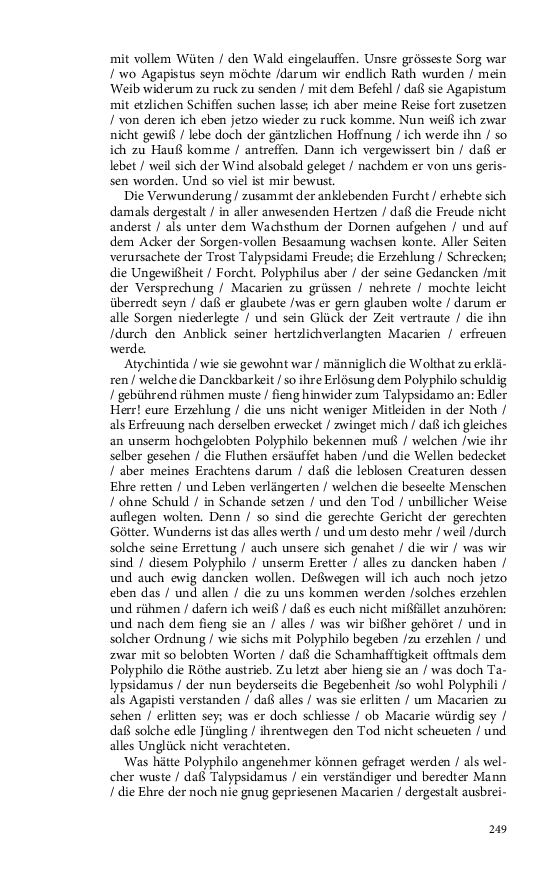 Seite 249