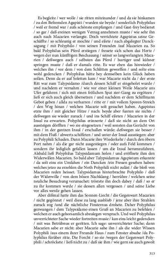 Seite 313