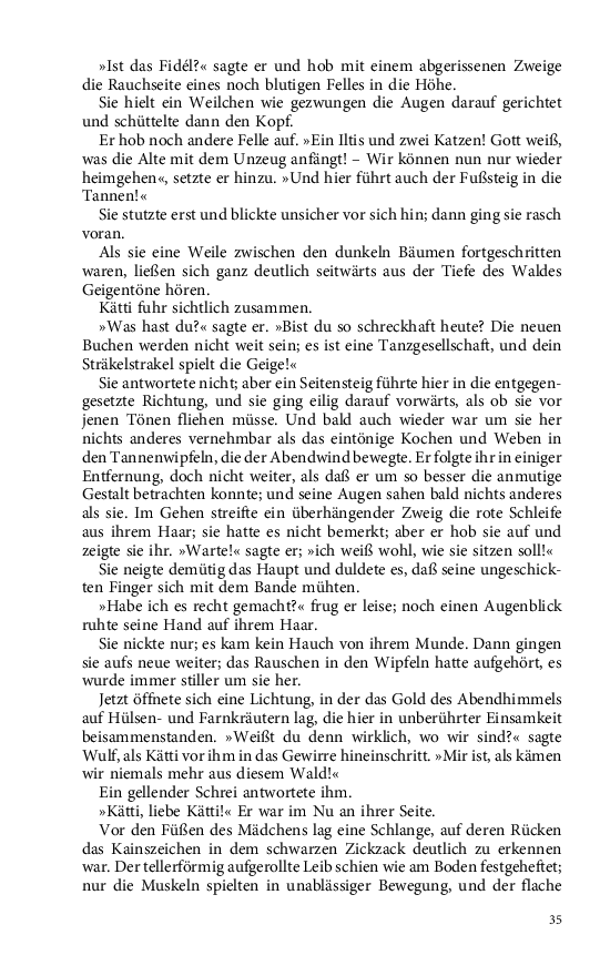 Seite 35
