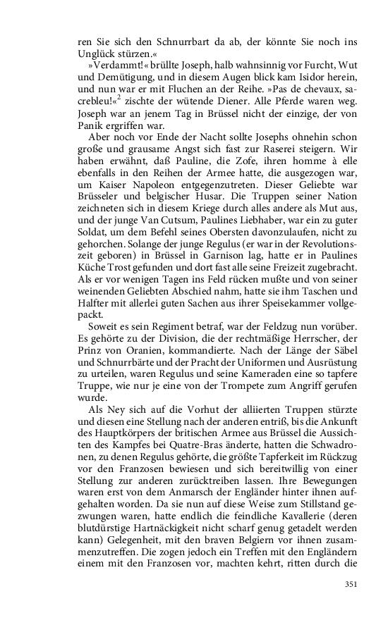 Seite 351