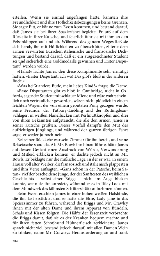Seite 384