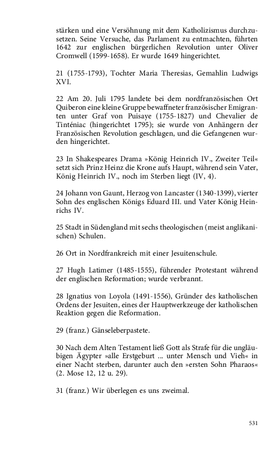Seite 531