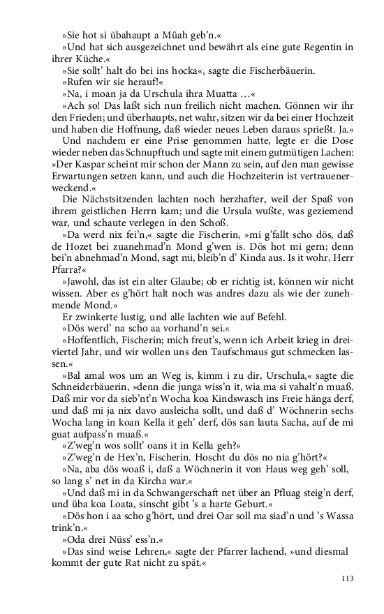 Seite 113