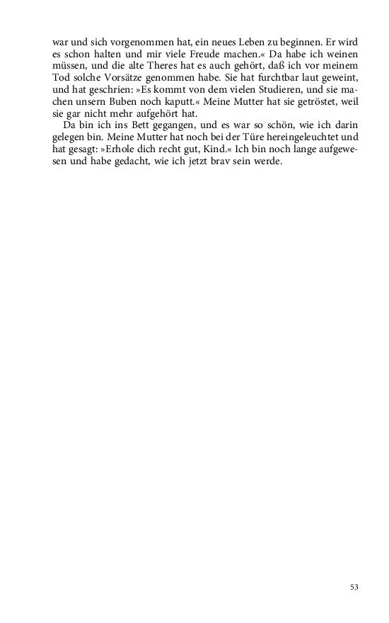 Seite 53