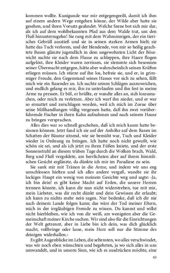 Seite 65