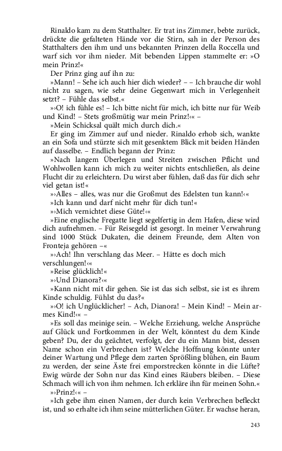 Seite 243