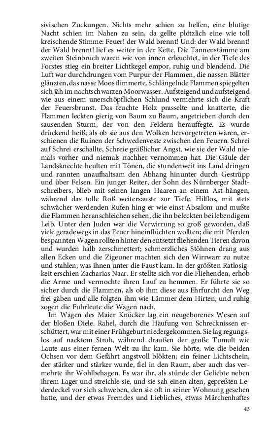 Seite 43