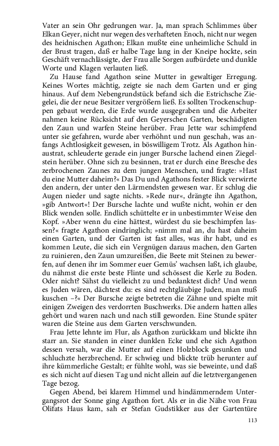 Seite 113