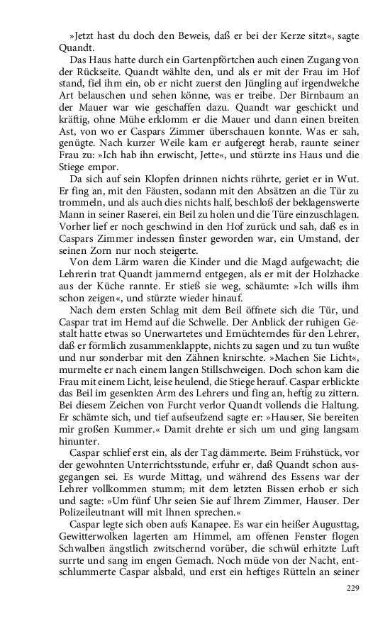 Seite 229